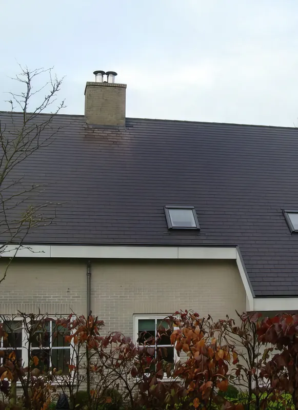 hoe verloopt professionele dakreiniging