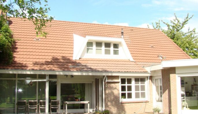 Villa Fijnaart dakreiniging foto 4