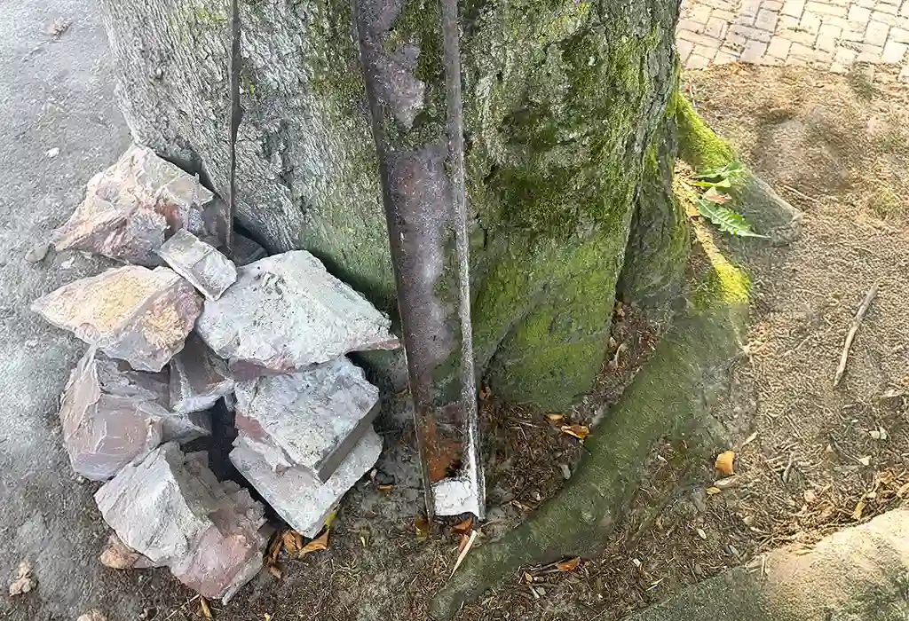 gevelherstel wassenaar oude bint vervangen